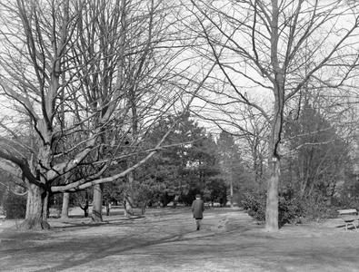 400496 Gezicht in het Wilhelminapark te Utrecht.